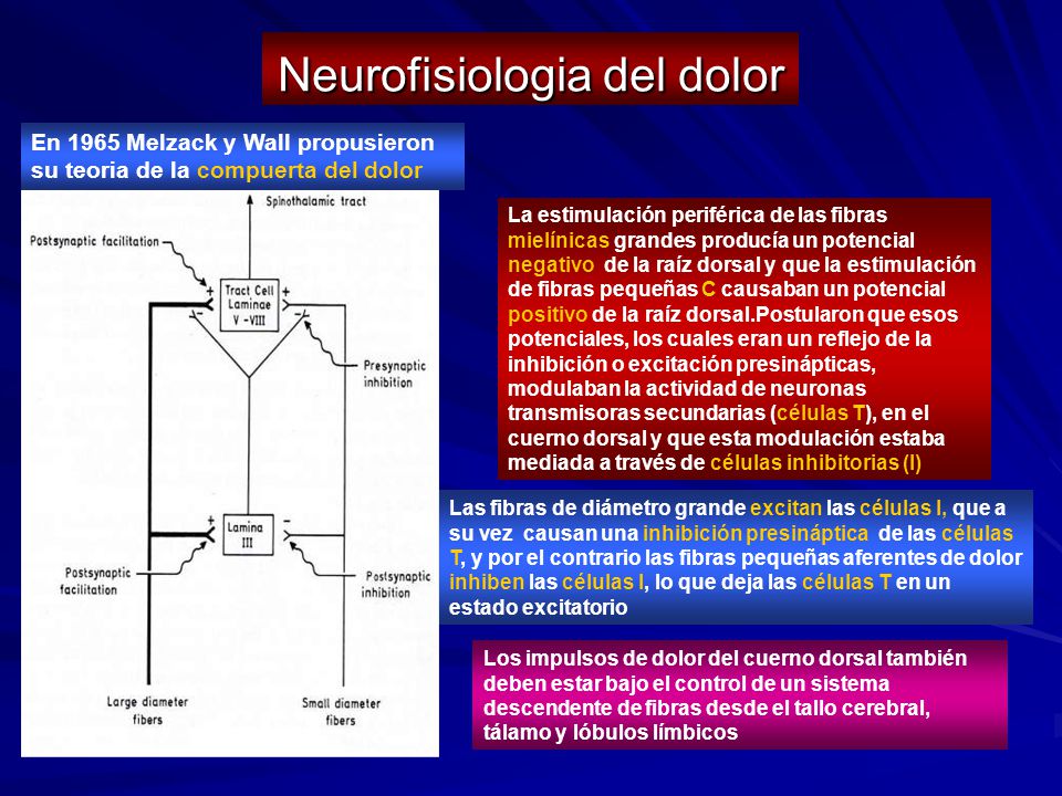 Dolor del modulacion periferica